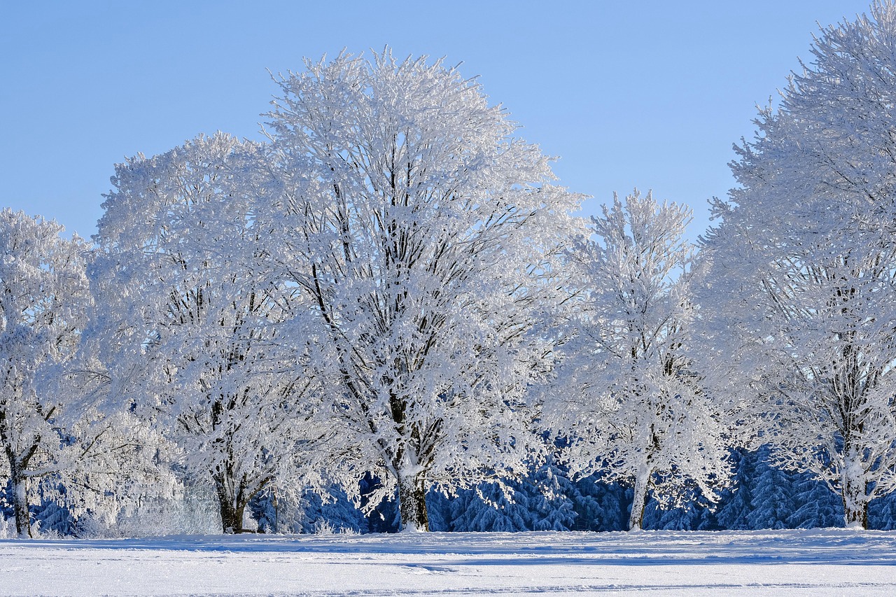 De faibles chutes de neige possibles à Argenton pour la nuit de Noël