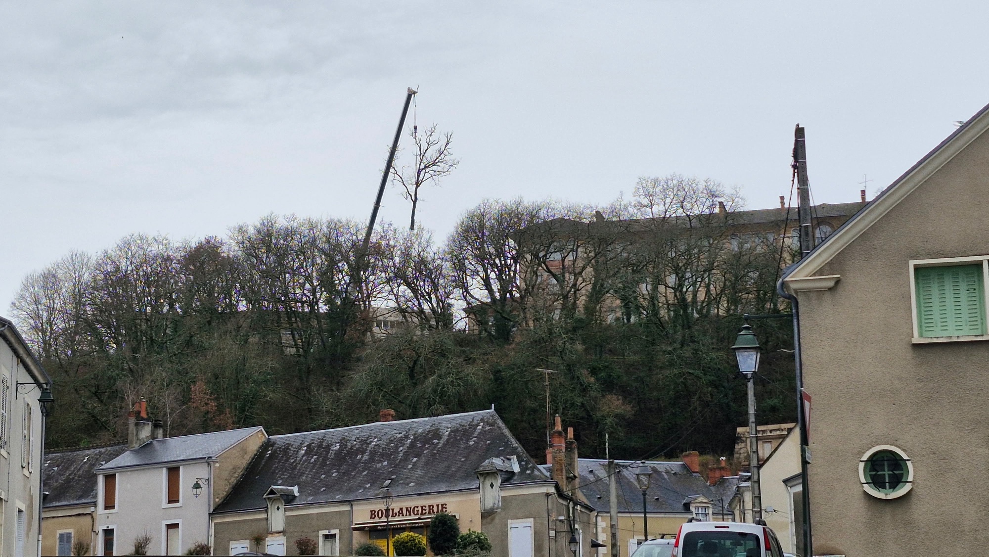 Pourquoi plusieurs arbres sont-ils coupés à Argenton-sur-Creuse, aux abords du lycée Rollinat ?
